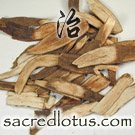 Sheng Ma (Rhizoma Cimicifugae)
