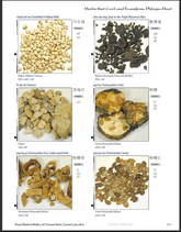 Sample page 4 — Visual Materia Medica of Chinese Herbs