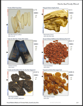 Sample page 5 — Visual Materia Medica of Chinese Herbs